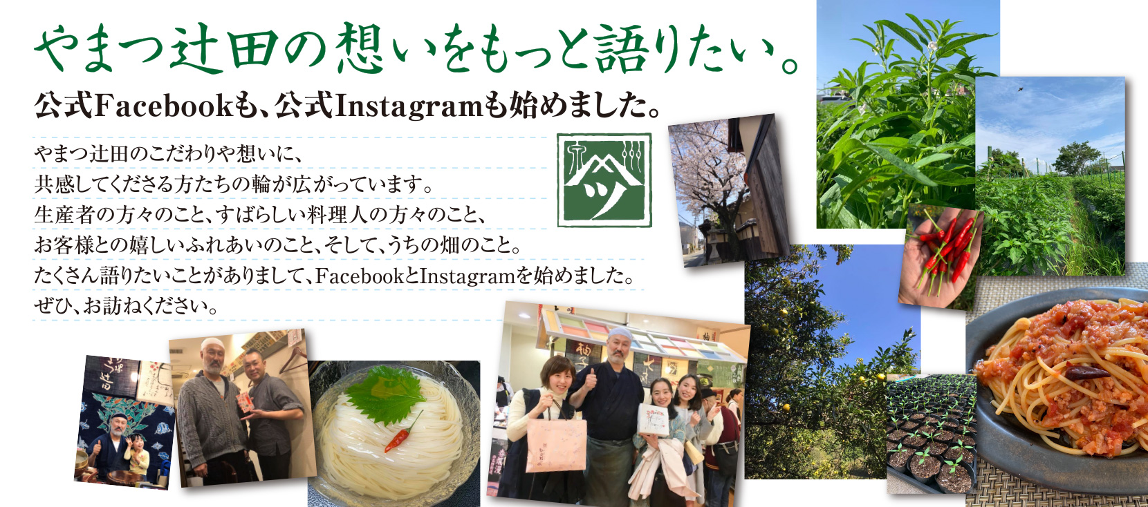 国産唐がらし 唐辛子 国産たかの爪 国産輪切り唐がらし 国産石臼挽き山椒 石臼挽き山椒 製造販売元 やまつ辻田