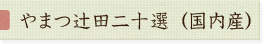 ܂ғc\IiYj