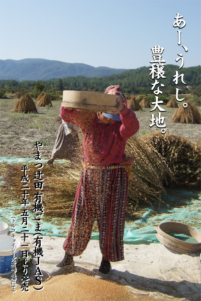 ごまイメージ写真