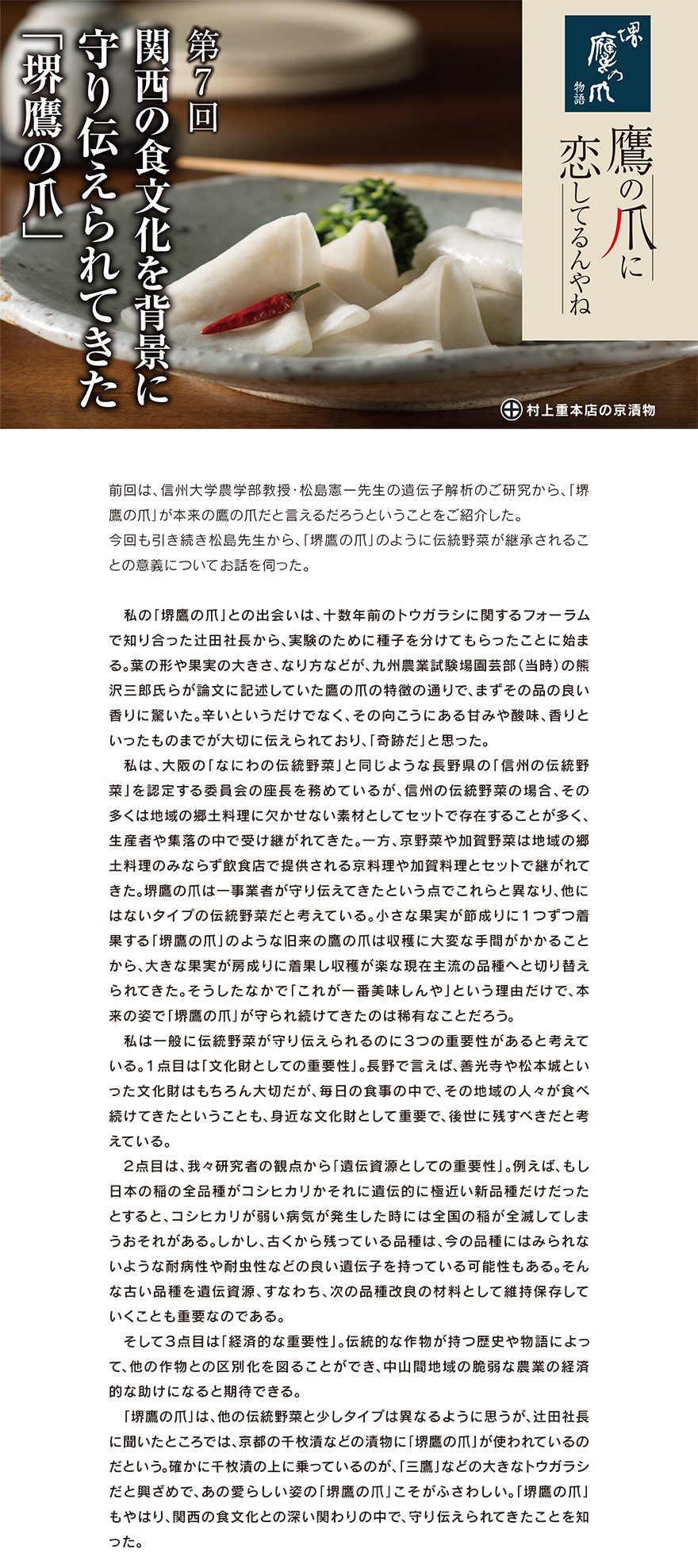 　前回は、信州大学農学部教授・松島憲一先生の遺伝子解析のご研究から、「堺
鷹の爪」が本来の鷹の爪だと言えるだろうということをご紹介した。
今回も引き続き松島先生から、「堺鷹の爪」のように伝統野菜が継承されるこ
との意義についてお話を伺った。
私の「堺鷹の爪」との出会いは、十数年前のトウガラシに関するフォーラム
で知り合った辻田社長から、実験のために種子を分けてもらったことに始ま
る。葉の形や果実の大きさ、なり方などが、九州農業試験場園芸部（当時）の熊
沢三郎氏らが論文に記述していた鷹の爪の特徴の通りで、まずその品の良い
香りに驚いた。辛いというだけでなく、その向こうにある甘みや酸味、香りと
いったものまでが大切に伝えられており、「奇跡だ」と思った。
私は、大阪の「なにわの伝統野菜」と同じような長野県の「信州の伝統野
菜」を認定する委員会の座長を務めているが、信州の伝統野菜の場合、その
多くは地域の郷土料理に欠かせない素材としてセットで存在することが多く、
生産者や集落の中で受け継がれてきた。一方、京野菜や加賀野菜は地域の郷
土料理のみならず飲食店で提供される京料理や加賀料理とセットで継がれて
きた。堺鷹の爪は一事業者が守り伝えてきたという点でこれらと異なり、他に
はないタイプの伝統野菜だと考えている。小さな果実が節成りに1つずつ着
果する「堺鷹の爪」のような旧来の鷹の爪は収穫に大変な手間がかかること
から、大きな果実が房成りに着果し収穫が楽な現在主流の品種へと切り替え
られてきた。そうしたなかで「これが一番美味しんや」という理由だけで、本
来の姿で「堺鷹の爪」が守られ続けてきたのは稀有なことだろう。
私は一般に伝統野菜が守り伝えられるのに3つの重要性があると考えて
いる。1点目は「文化財としての重要性」。長野で言えば、善光寺や松本城とい
った文化財はもちろん大切だが、毎日の食事の中で、その地域の人々が食べ
続けてきたということも、身近な文化財として重要で、後世に残すべきだと考
えている。
2点目は、我々研究者の観点から「遺伝資源としての重要性」。例えば、もし
日本の稲の全品種がコシヒカリかそれに遺伝的に極近い新品種だけだった
とすると、コシヒカリが弱い病気が発生した時には全国の稲が全滅してしま
うおそれがある。しかし、古くから残っている品種は、今の品種にはみられな
いような耐病性や耐虫性などの良い遺伝子を持っている可能性もある。そん
な古い品種を遺伝資源、すなわち、次の品種改良の材料として維持保存して
いくことも重要なのである。
そして3点目は「経済的な重要性」。伝統的な作物が持つ歴史や物語によっ
て、他の作物との区別化を図ることができ、中山間地域の脆弱な農業の経済
的な助けになると期待できる。
「堺鷹の爪」は、他の伝統野菜と少しタイプは異なるように思うが、辻田社長
に聞いたところでは、京都の千枚漬などの漬物に「堺鷹の爪」が使われているの
だという。確かに千枚漬の上に乗っているのが、「三鷹」などの大きなトウガラシ
だと興ざめで、あの愛らしい姿の「堺鷹の爪」こそがふさわしい。「堺鷹の爪」
もやはり、関西の食文化との深い関わりの中で、守り伝えられてきたことを知
った。